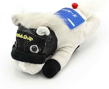 51a+RwWyUzL._AC_UF350,